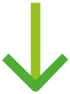 Flelche-Verte